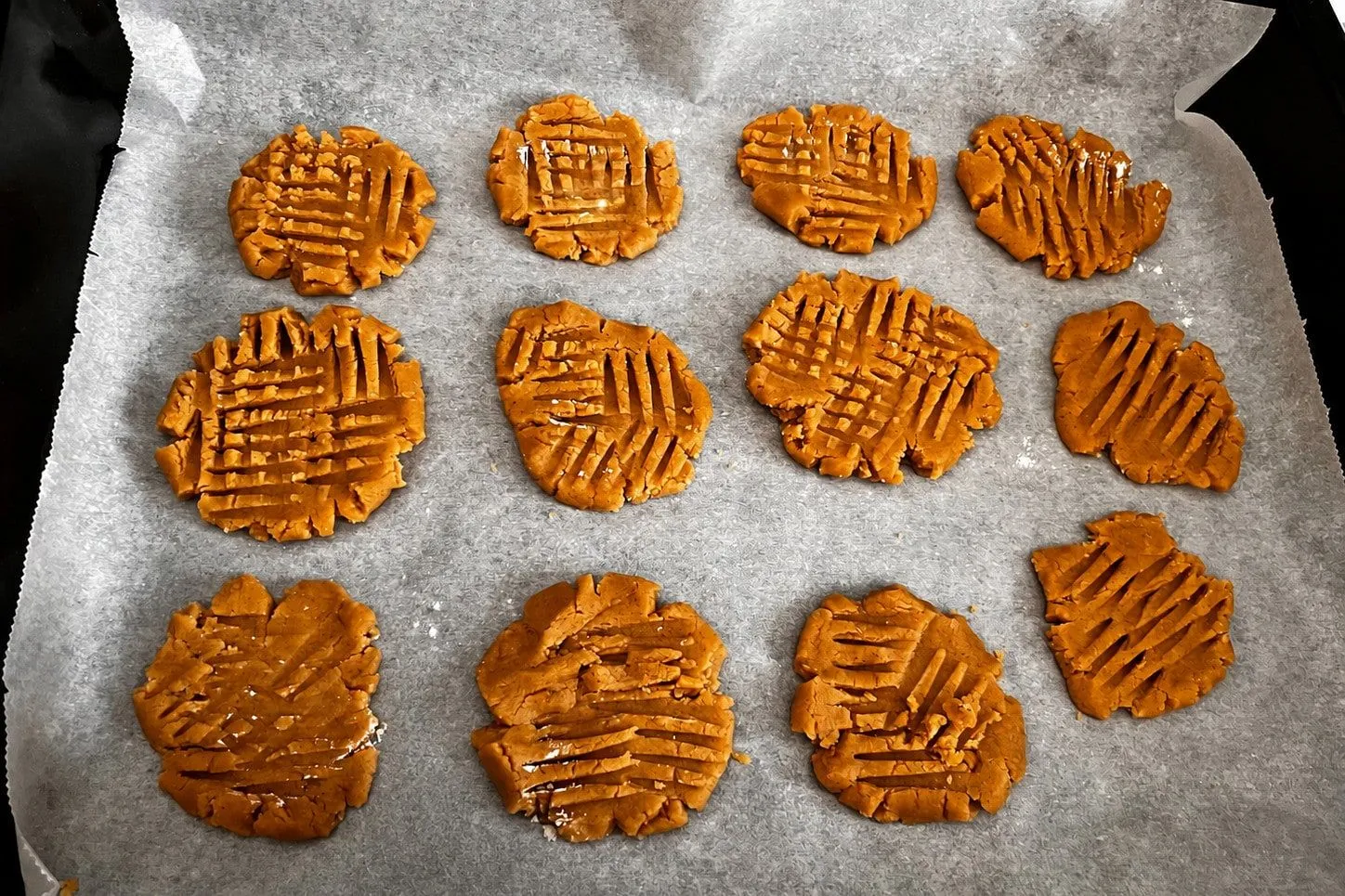 Unbaked peanut butter cookies with fork crosshatches on baking parchment